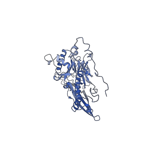 4681_6qz0_3V_v1-0
The cryo-EM structure of the head of the genome empited bacteriophage phi29