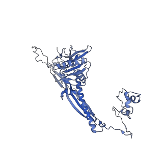 4681_6qz0_3W_v1-0
The cryo-EM structure of the head of the genome empited bacteriophage phi29