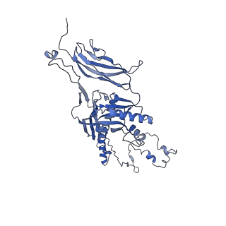 4681_6qz0_3X_v1-0
The cryo-EM structure of the head of the genome empited bacteriophage phi29