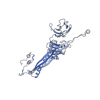 4681_6qz0_3Z_v1-0
The cryo-EM structure of the head of the genome empited bacteriophage phi29