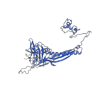 4681_6qz0_3c_v1-0
The cryo-EM structure of the head of the genome empited bacteriophage phi29