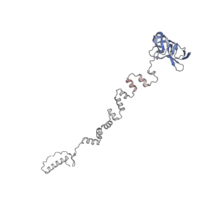 4681_6qz0_3e_v1-0
The cryo-EM structure of the head of the genome empited bacteriophage phi29