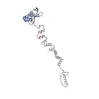 4681_6qz0_3i_v1-0
The cryo-EM structure of the head of the genome empited bacteriophage phi29