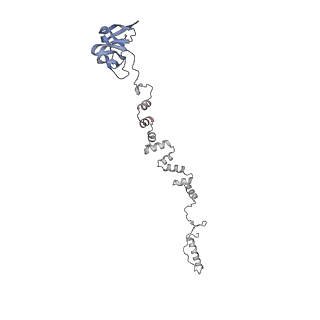 4681_6qz0_3j_v1-0
The cryo-EM structure of the head of the genome empited bacteriophage phi29