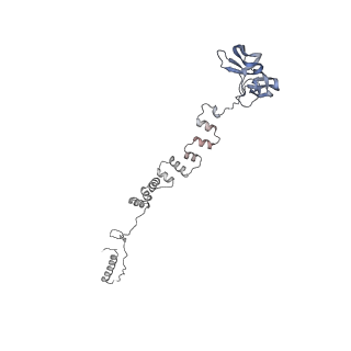 4681_6qz0_3l_v1-0
The cryo-EM structure of the head of the genome empited bacteriophage phi29