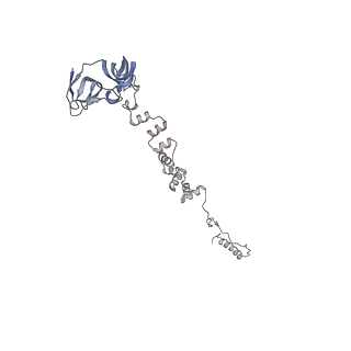 4681_6qz0_3o_v1-0
The cryo-EM structure of the head of the genome empited bacteriophage phi29