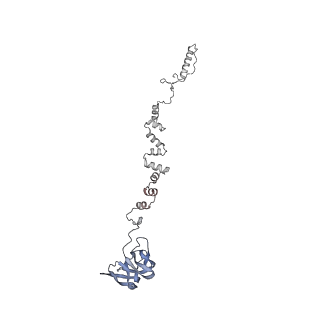 4681_6qz0_3r_v1-0
The cryo-EM structure of the head of the genome empited bacteriophage phi29