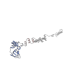 4681_6qz0_3s_v1-0
The cryo-EM structure of the head of the genome empited bacteriophage phi29