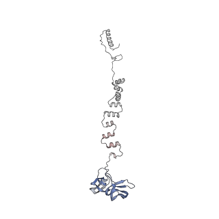 4681_6qz0_3x_v1-0
The cryo-EM structure of the head of the genome empited bacteriophage phi29