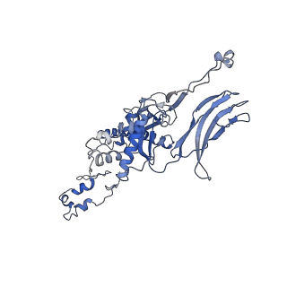 4681_6qz0_4G_v1-0
The cryo-EM structure of the head of the genome empited bacteriophage phi29