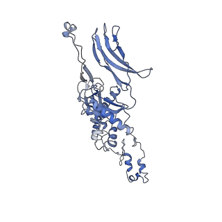 4681_6qz0_4M_v1-0
The cryo-EM structure of the head of the genome empited bacteriophage phi29