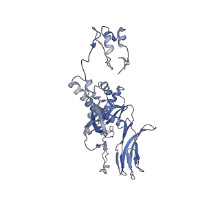 4681_6qz0_4P_v1-0
The cryo-EM structure of the head of the genome empited bacteriophage phi29