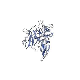 4681_6qz0_4Z_v1-0
The cryo-EM structure of the head of the genome empited bacteriophage phi29