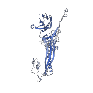 4681_6qz0_4a_v1-0
The cryo-EM structure of the head of the genome empited bacteriophage phi29