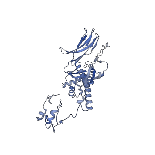 4681_6qz0_4b_v1-0
The cryo-EM structure of the head of the genome empited bacteriophage phi29