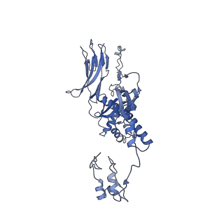 4681_6qz0_5A_v1-0
The cryo-EM structure of the head of the genome empited bacteriophage phi29
