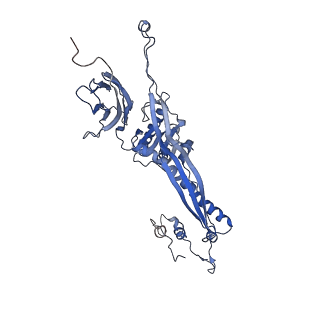 4681_6qz0_5F_v1-0
The cryo-EM structure of the head of the genome empited bacteriophage phi29