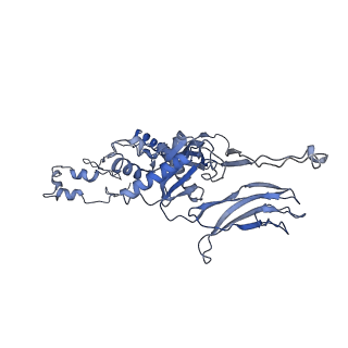 4681_6qz0_5J_v1-0
The cryo-EM structure of the head of the genome empited bacteriophage phi29