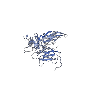 4681_6qz0_5K_v1-0
The cryo-EM structure of the head of the genome empited bacteriophage phi29