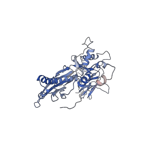 4681_6qz0_5N_v1-0
The cryo-EM structure of the head of the genome empited bacteriophage phi29