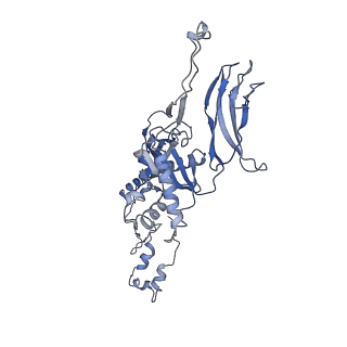 4681_6qz0_5P_v1-0
The cryo-EM structure of the head of the genome empited bacteriophage phi29