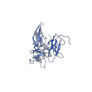 4681_6qz0_5Q_v1-0
The cryo-EM structure of the head of the genome empited bacteriophage phi29