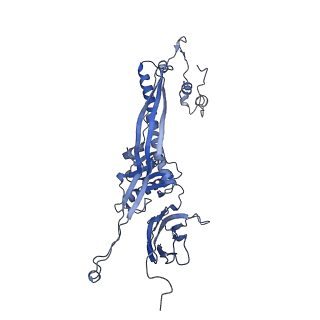 4681_6qz0_5R_v1-0
The cryo-EM structure of the head of the genome empited bacteriophage phi29