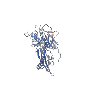4681_6qz0_5T_v1-0
The cryo-EM structure of the head of the genome empited bacteriophage phi29