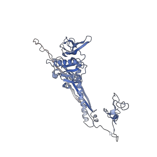 4681_6qz0_5U_v1-0
The cryo-EM structure of the head of the genome empited bacteriophage phi29