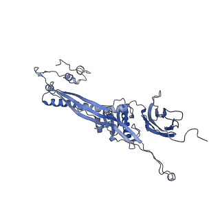 4681_6qz0_5X_v1-0
The cryo-EM structure of the head of the genome empited bacteriophage phi29