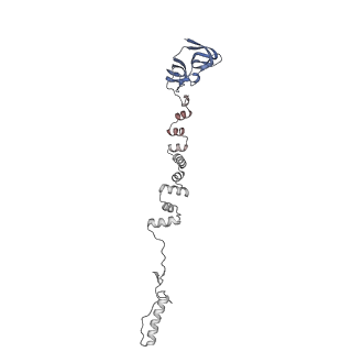 4681_6qz0_5g_v1-0
The cryo-EM structure of the head of the genome empited bacteriophage phi29