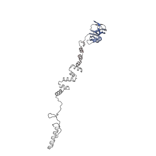 4681_6qz0_5h_v1-0
The cryo-EM structure of the head of the genome empited bacteriophage phi29