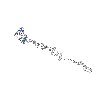 4681_6qz0_5i_v1-0
The cryo-EM structure of the head of the genome empited bacteriophage phi29