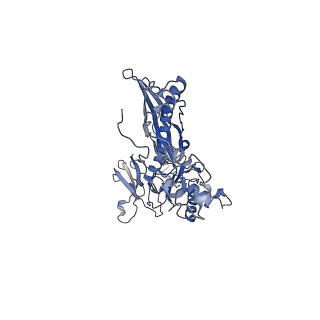 4681_6qz0_6C_v1-0
The cryo-EM structure of the head of the genome empited bacteriophage phi29