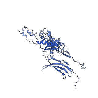 4681_6qz0_6E_v1-0
The cryo-EM structure of the head of the genome empited bacteriophage phi29