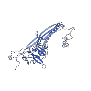 4681_6qz0_6G_v1-0
The cryo-EM structure of the head of the genome empited bacteriophage phi29