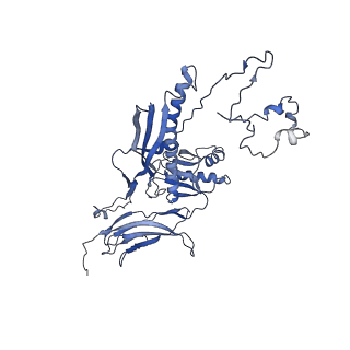 4681_6qz0_6H_v1-0
The cryo-EM structure of the head of the genome empited bacteriophage phi29