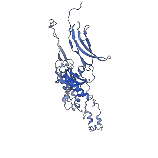 4681_6qz0_6Q_v1-0
The cryo-EM structure of the head of the genome empited bacteriophage phi29