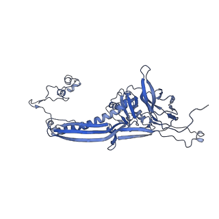 4681_6qz0_6S_v1-0
The cryo-EM structure of the head of the genome empited bacteriophage phi29