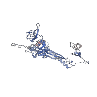 4681_6qz0_6V_v1-0
The cryo-EM structure of the head of the genome empited bacteriophage phi29