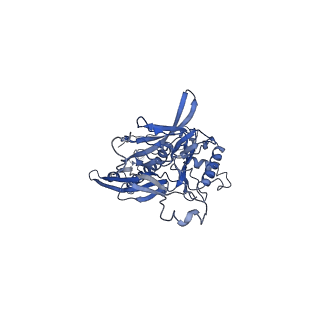 4681_6qz0_6X_v1-0
The cryo-EM structure of the head of the genome empited bacteriophage phi29
