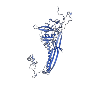 4681_6qz0_6Y_v1-0
The cryo-EM structure of the head of the genome empited bacteriophage phi29