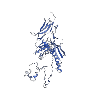 4681_6qz0_6Z_v1-0
The cryo-EM structure of the head of the genome empited bacteriophage phi29