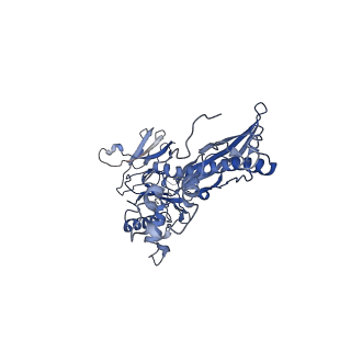 4681_6qz0_6a_v1-0
The cryo-EM structure of the head of the genome empited bacteriophage phi29