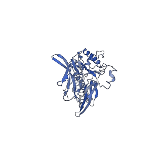 4681_6qz0_6d_v1-0
The cryo-EM structure of the head of the genome empited bacteriophage phi29