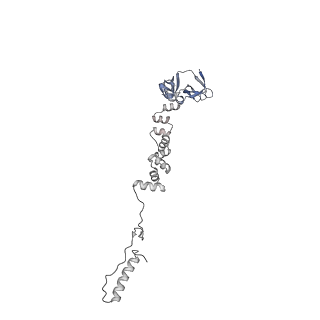 4681_6qz0_6e_v1-0
The cryo-EM structure of the head of the genome empited bacteriophage phi29