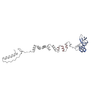 4681_6qz0_6g_v1-0
The cryo-EM structure of the head of the genome empited bacteriophage phi29