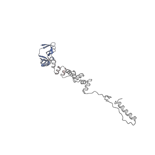 4681_6qz0_6i_v1-0
The cryo-EM structure of the head of the genome empited bacteriophage phi29