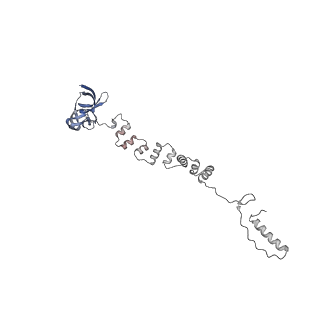 4681_6qz0_6j_v1-0
The cryo-EM structure of the head of the genome empited bacteriophage phi29