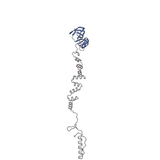 4681_6qz0_6l_v1-0
The cryo-EM structure of the head of the genome empited bacteriophage phi29